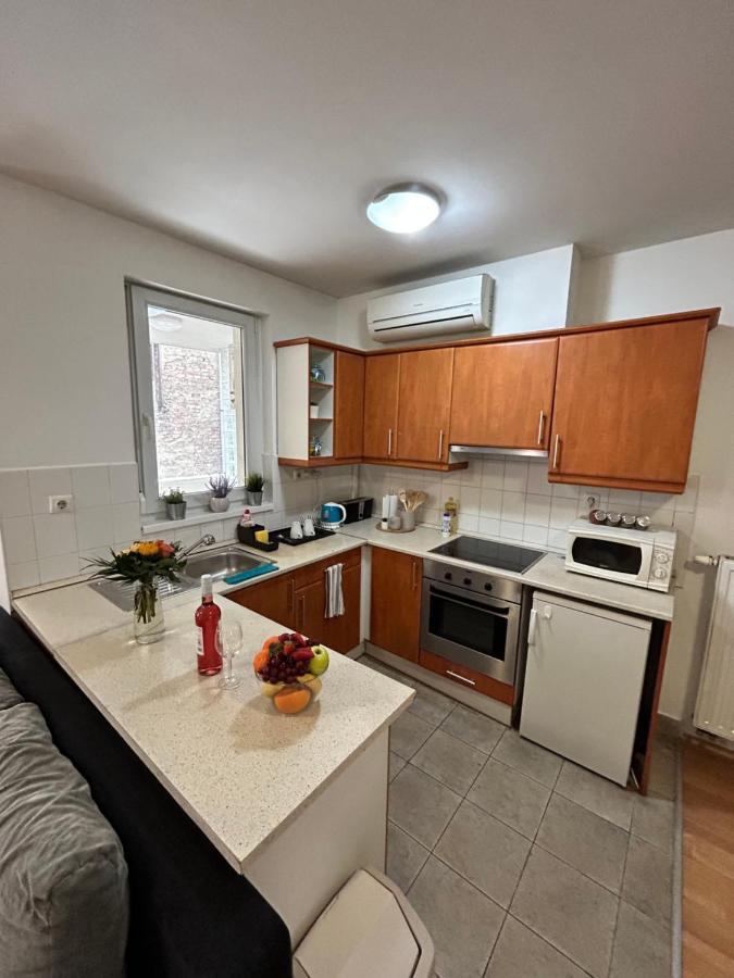 布达佩斯Danube Dwelling Akacfa 26 - Private Indoor Garage公寓 外观 照片